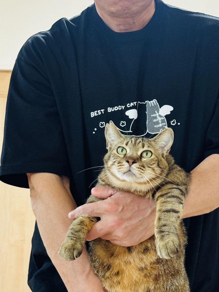 【ビッグシルエットTシャツ】 あいぼうねこTシャツ