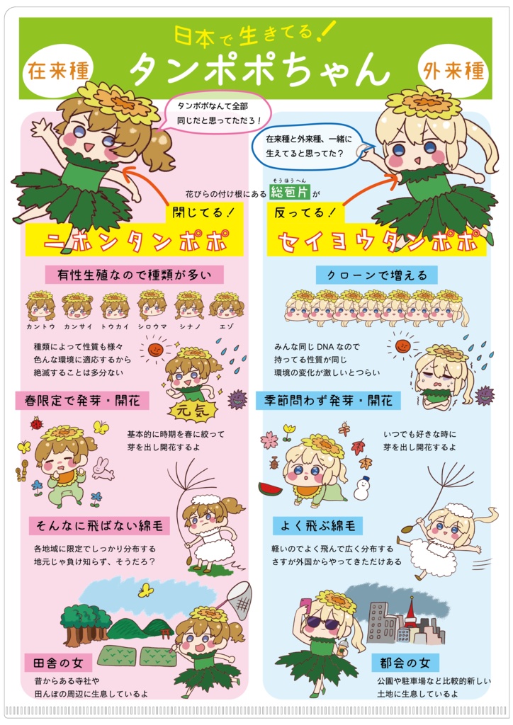 たんぽぽちゃんクリアファイル