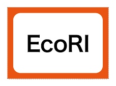 制限酵素かるた