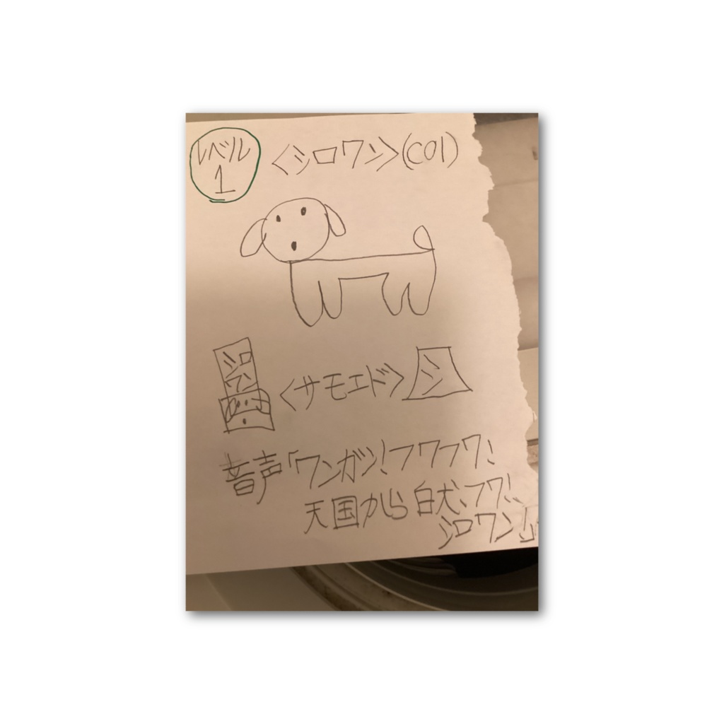 シロワンデータカード(シロワン)