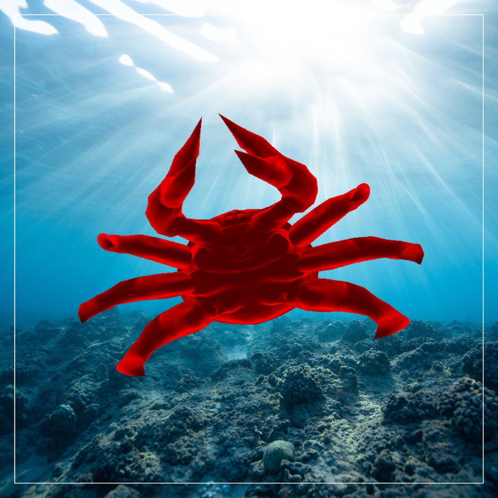 【3Dモデル】北海道名産カニ