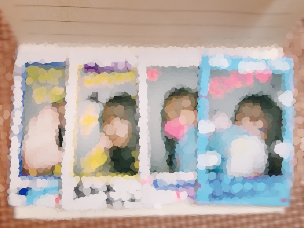 ランダムチェキ5枚