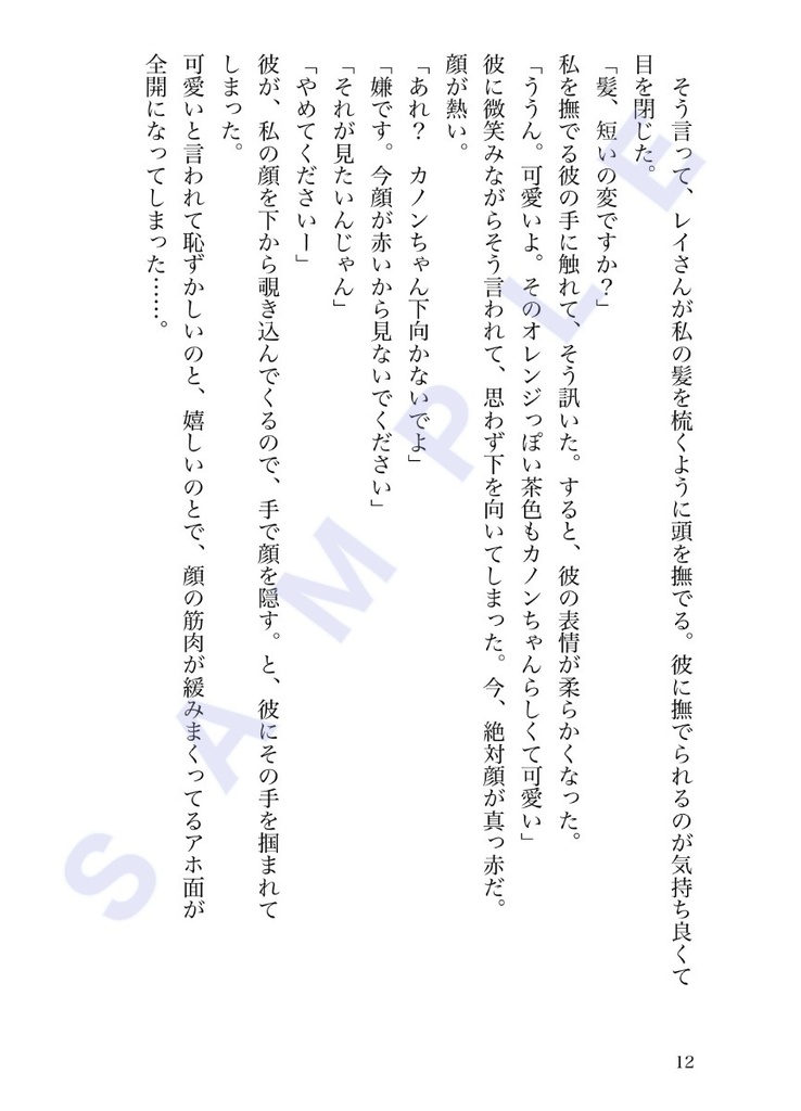 夢現の破片〜夢と現と妄想と サイドストーリー集