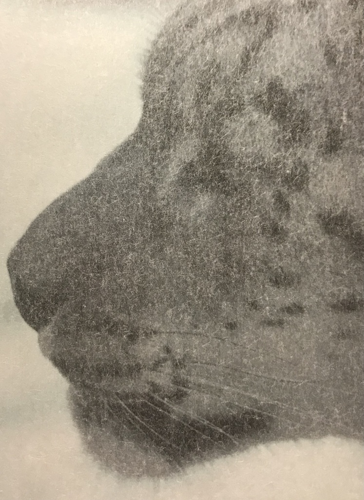 1 hour writting LOG 2