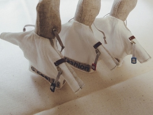 コクーンパーカー(デイホワイトベージュ)