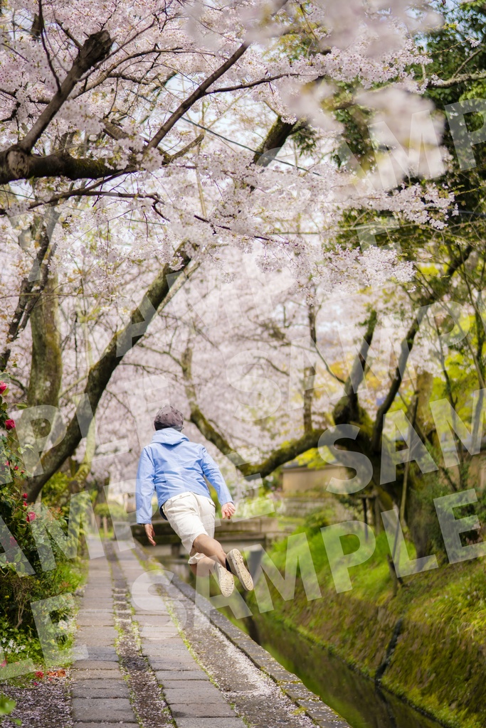 【哲学の道 A】(ワイド4切)