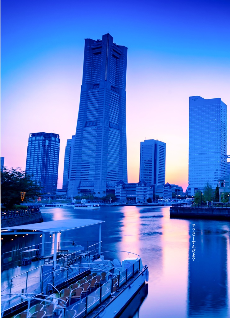 で?どーすんだよ?