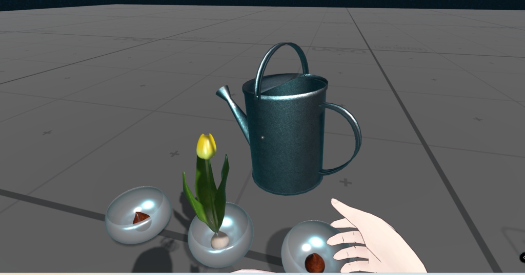 【3Dモデル】球根を咲かせよう!チューリップ育成キット