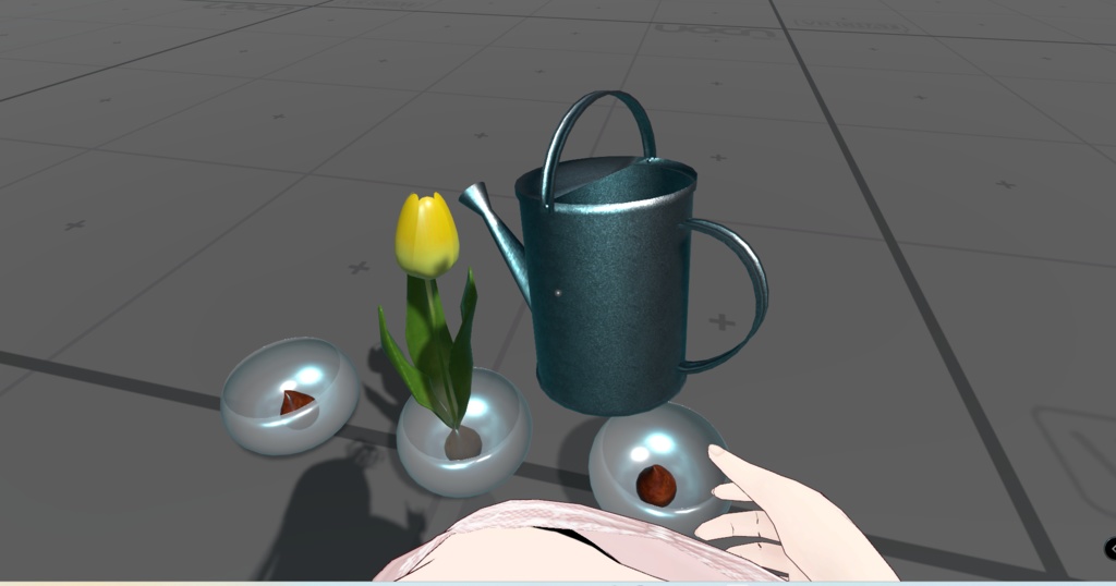 【3Dモデル】球根を咲かせよう!チューリップ育成キット