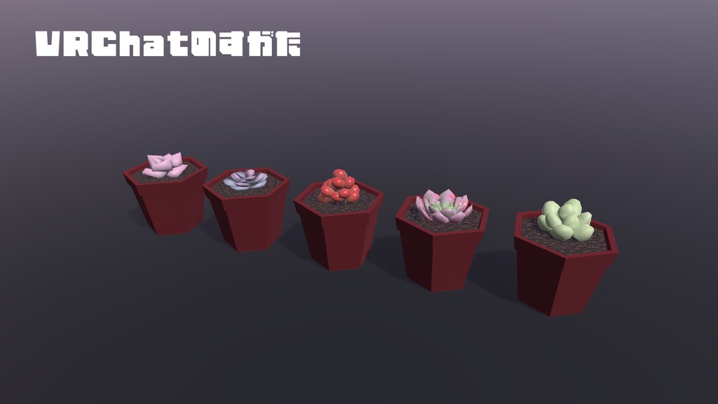 【3Dモデル】多肉植物5種セット