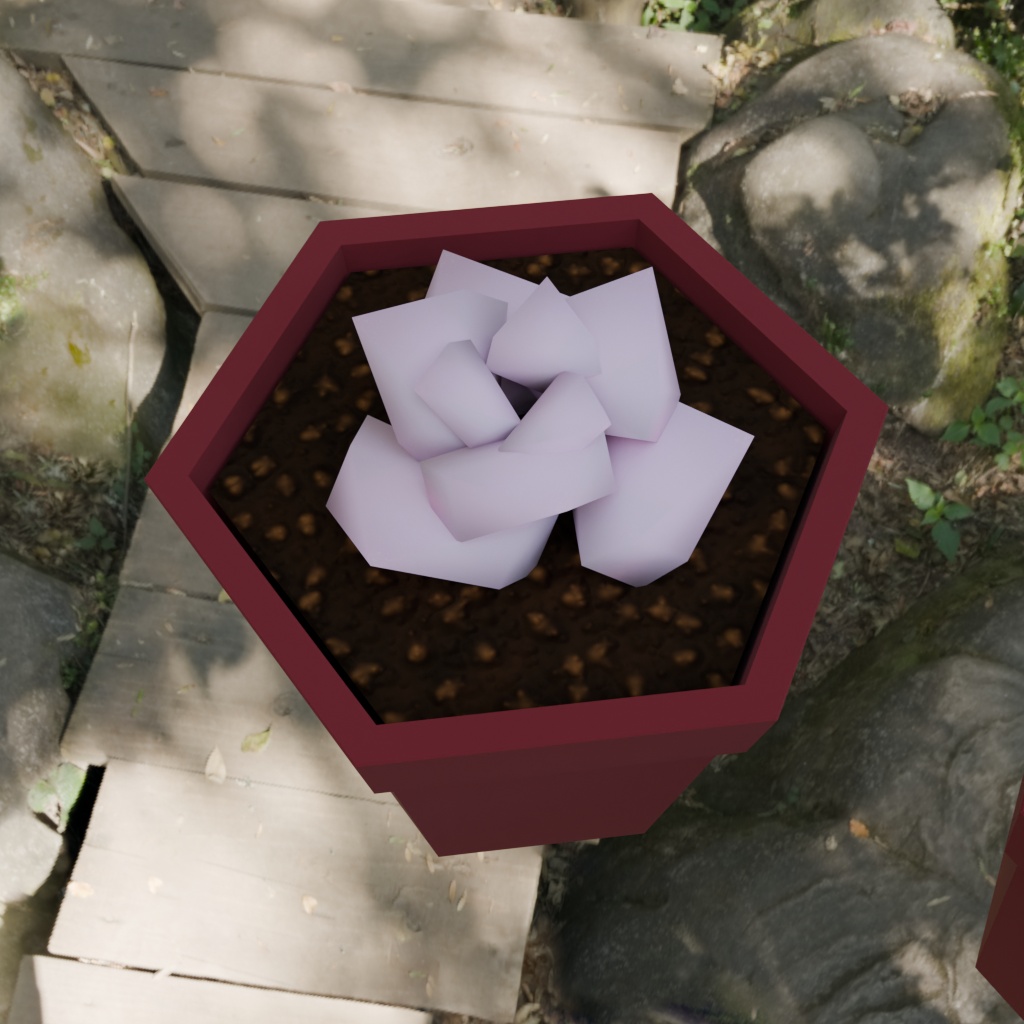 【3Dモデル】多肉植物5種セット
