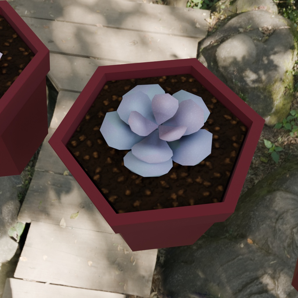 【3Dモデル】多肉植物5種セット