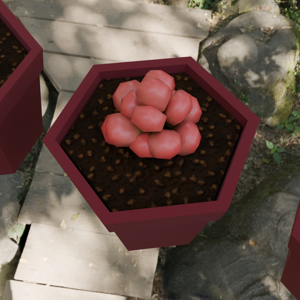 【3Dモデル】多肉植物5種セット