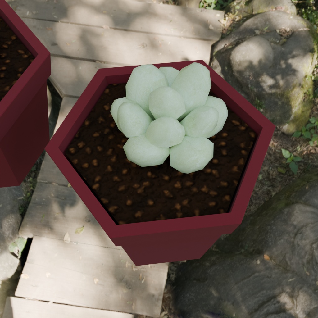 【3Dモデル】多肉植物5種セット