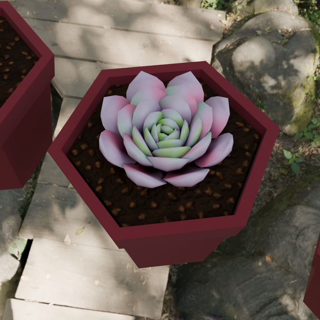 【3Dモデル】多肉植物5種セット