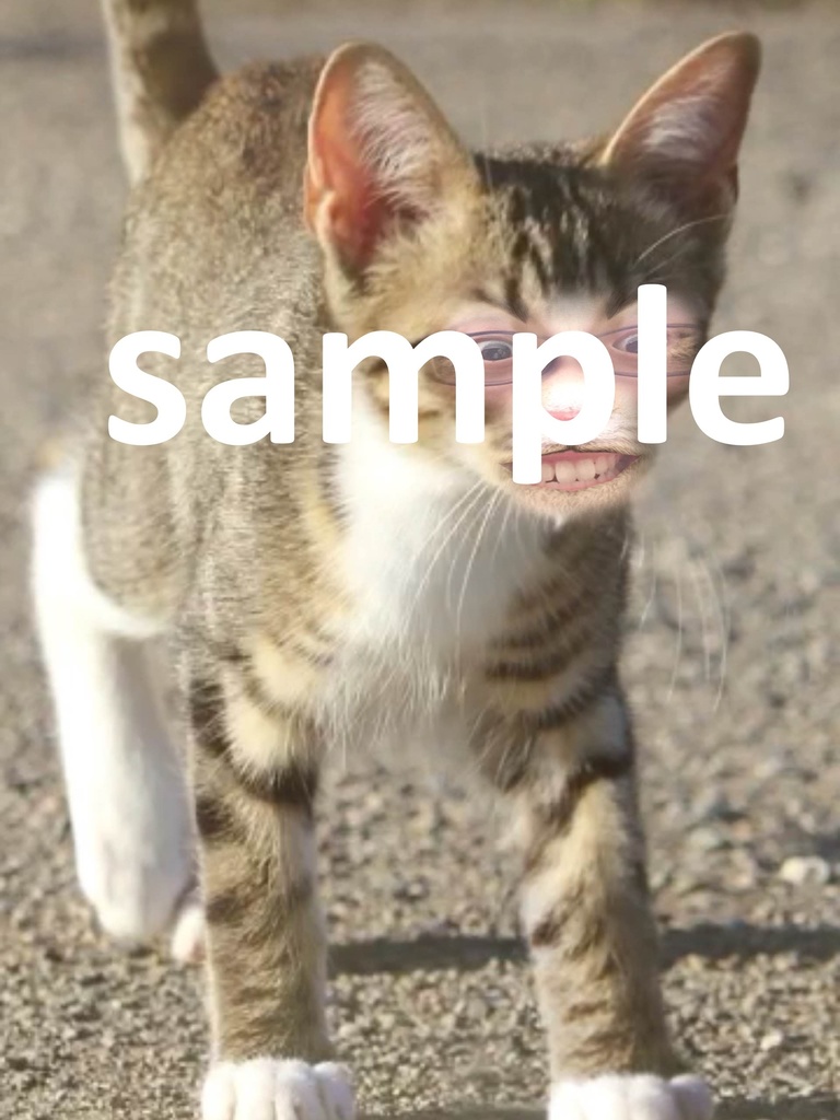 人面猫.jpg