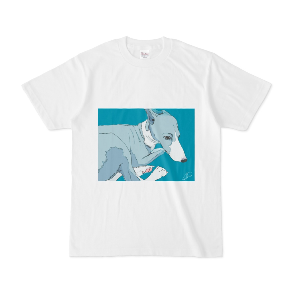 イタグレスケッチT