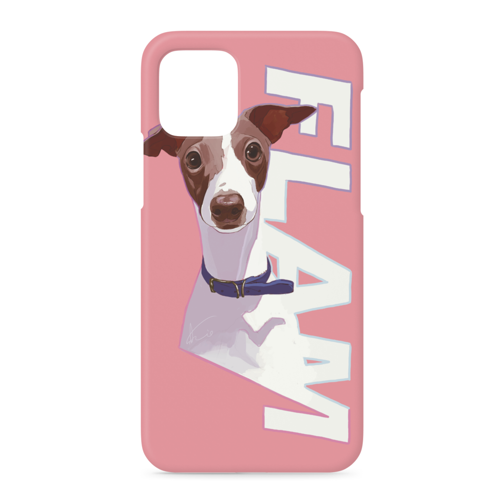 FLAM. iPhone11proケース