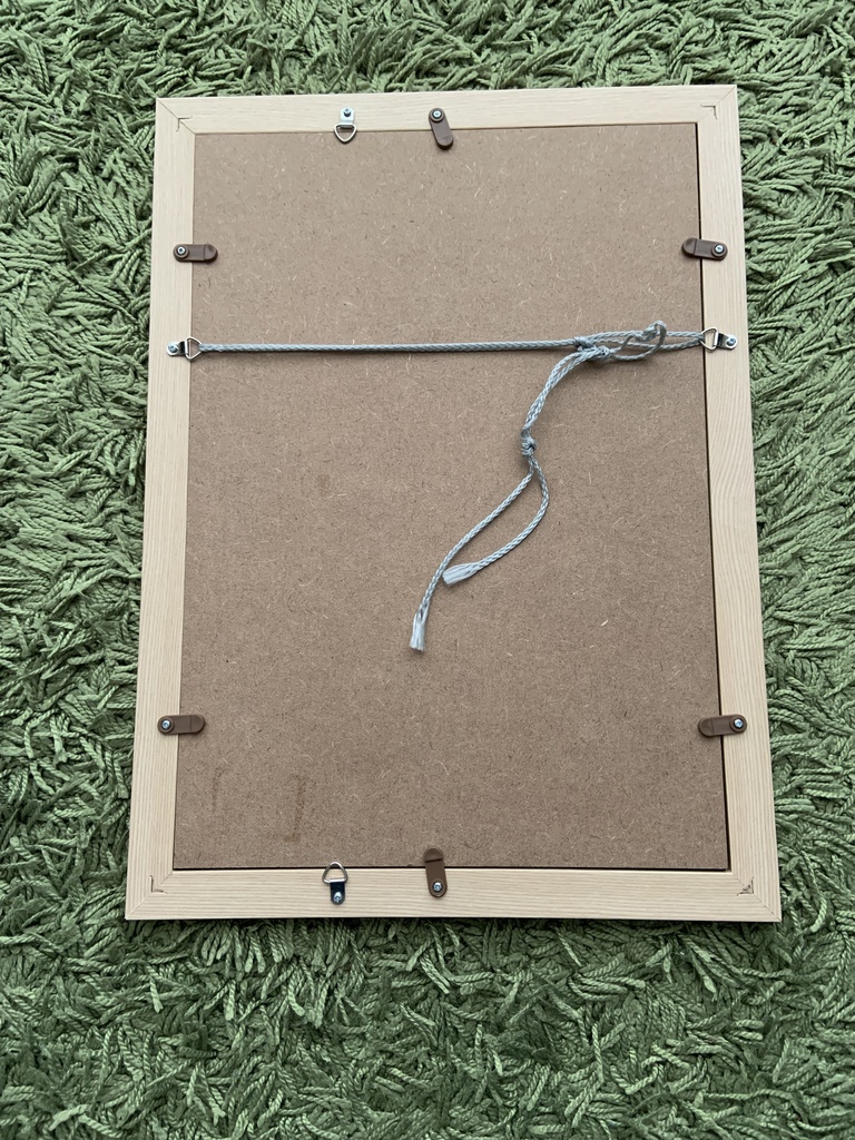 額装原画『蒼魂不滅』