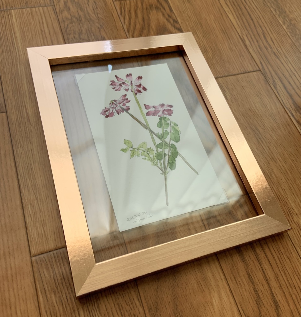 スケッチ&ドローイング(額付き)