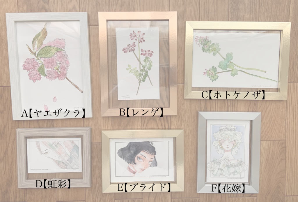 スケッチ&ドローイング(額付き)