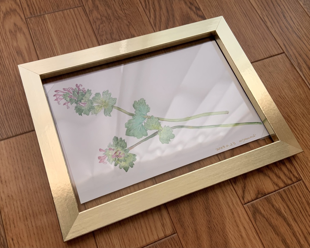 スケッチ&ドローイング(額付き)