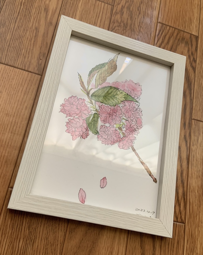 スケッチ&ドローイング(額付き)