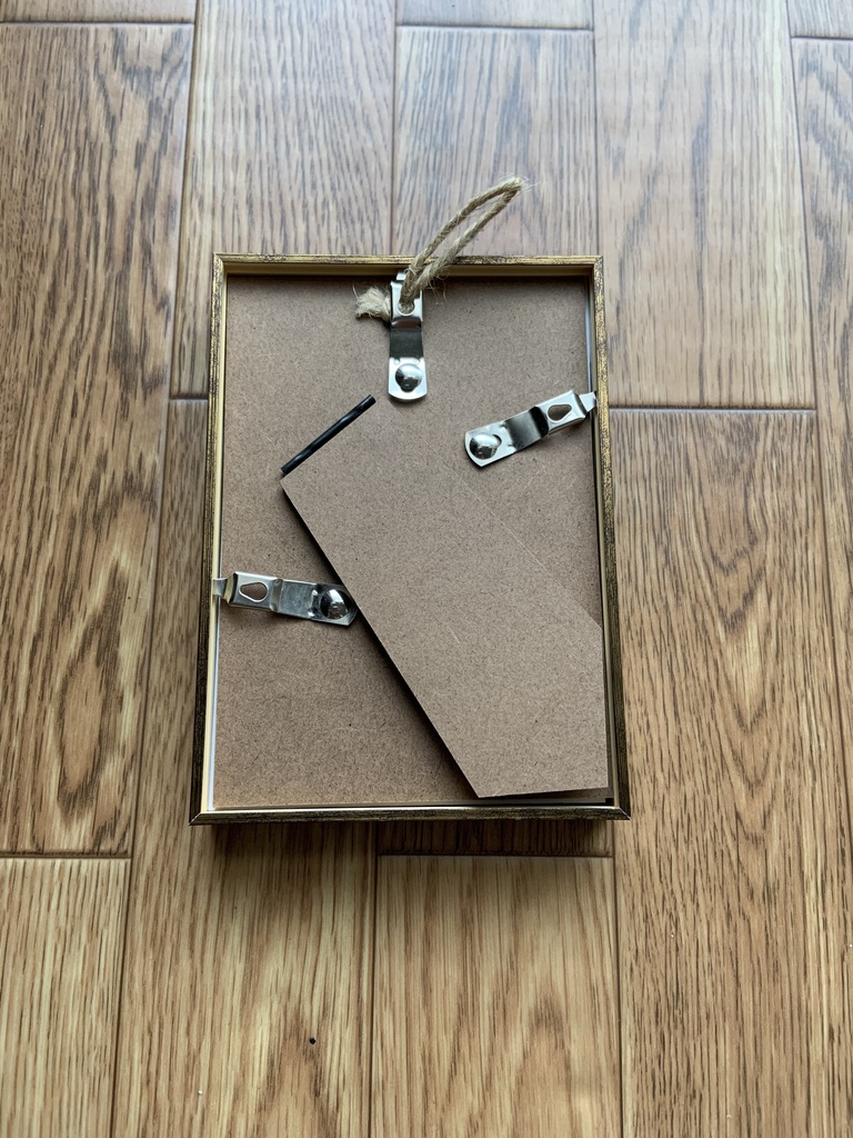 L判原画「蔵匿の蓮」