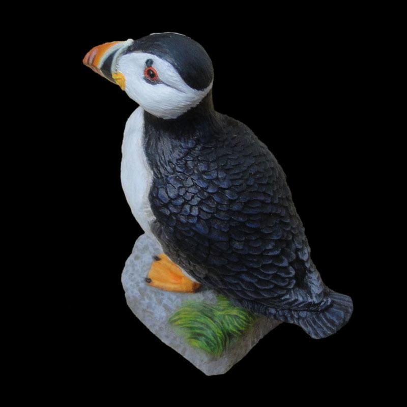 ニシツノメドリ