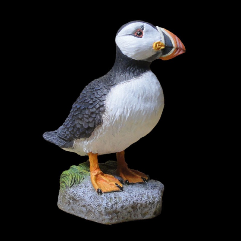 ニシツノメドリ