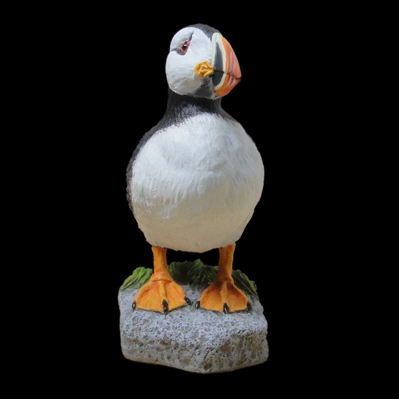 ニシツノメドリ