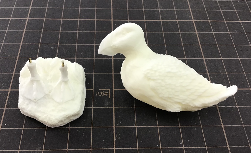 ニシツノメドリ