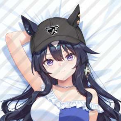 ヴィルシーナ（ウマ娘 プリティーダービー） 抱き枕カバー
