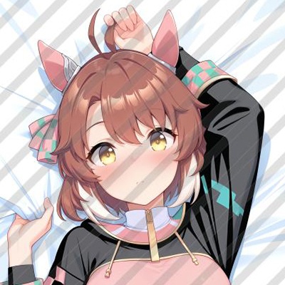 ダンツフレーム（ウマ娘 プリティーダービー） 抱き枕カバー
