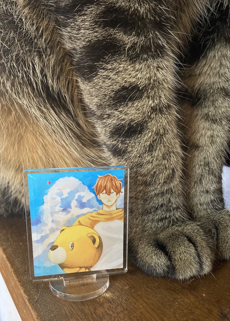 朝顔くまさん50mm✖️50mm(アクリルフィギュア)