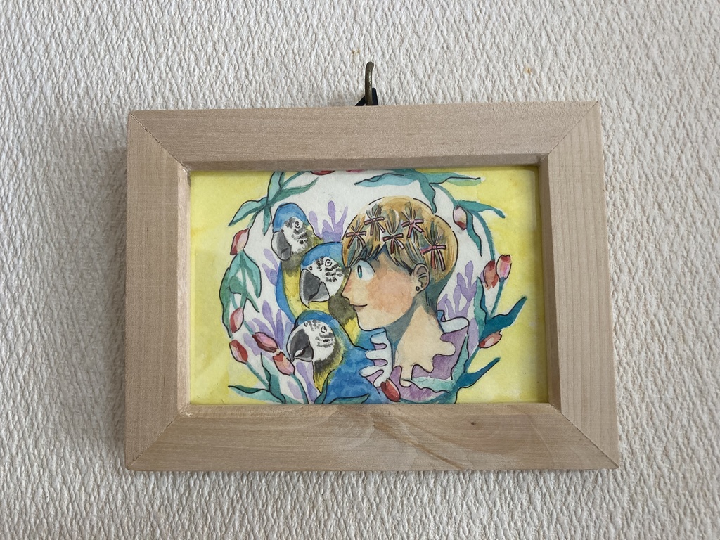 チューリップインコチャド