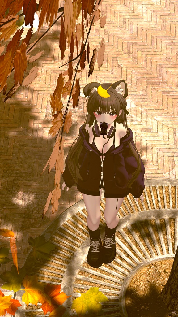 紅葉-Autumn leaves