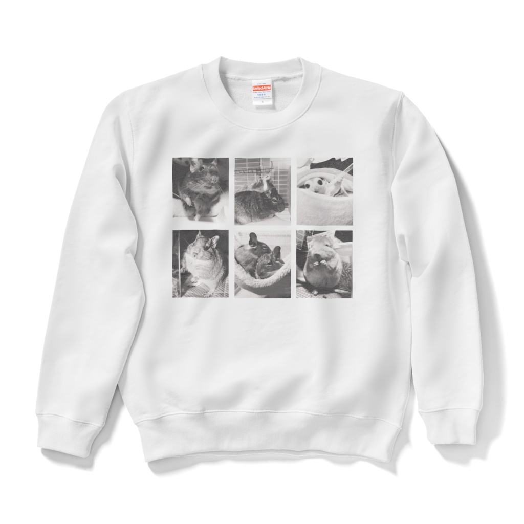 DEGUTIファミリー