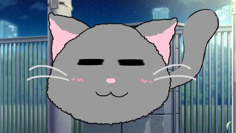 Ball Cat