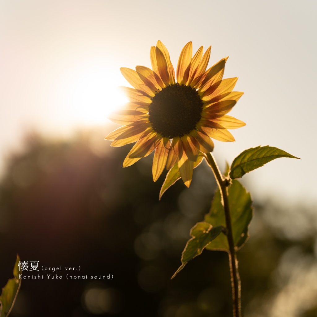 【6/12まで無料🌻】懐夏 (orgel ver.)