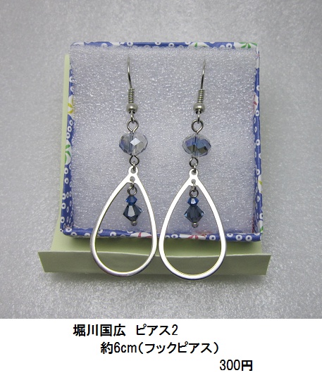 イメージピアス・イヤリング 1