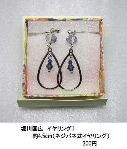 イメージピアス・イヤリング 1