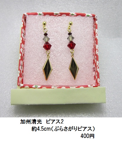 イメージピアス・イヤリング 1