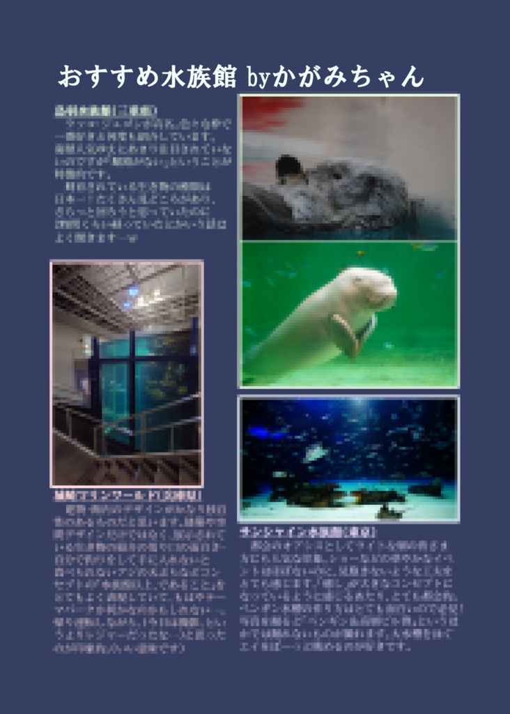 Kagami's Cheki Album