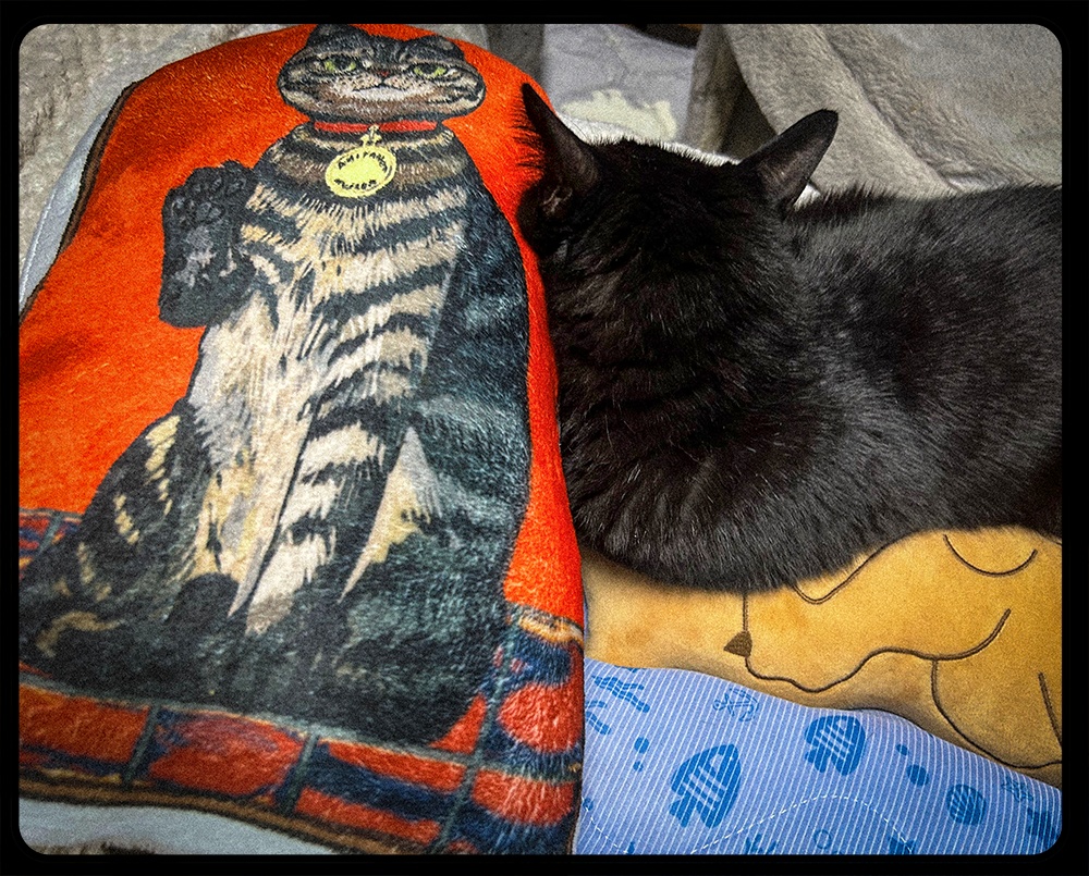 窓型LUCKY CAT ふかふかクッション