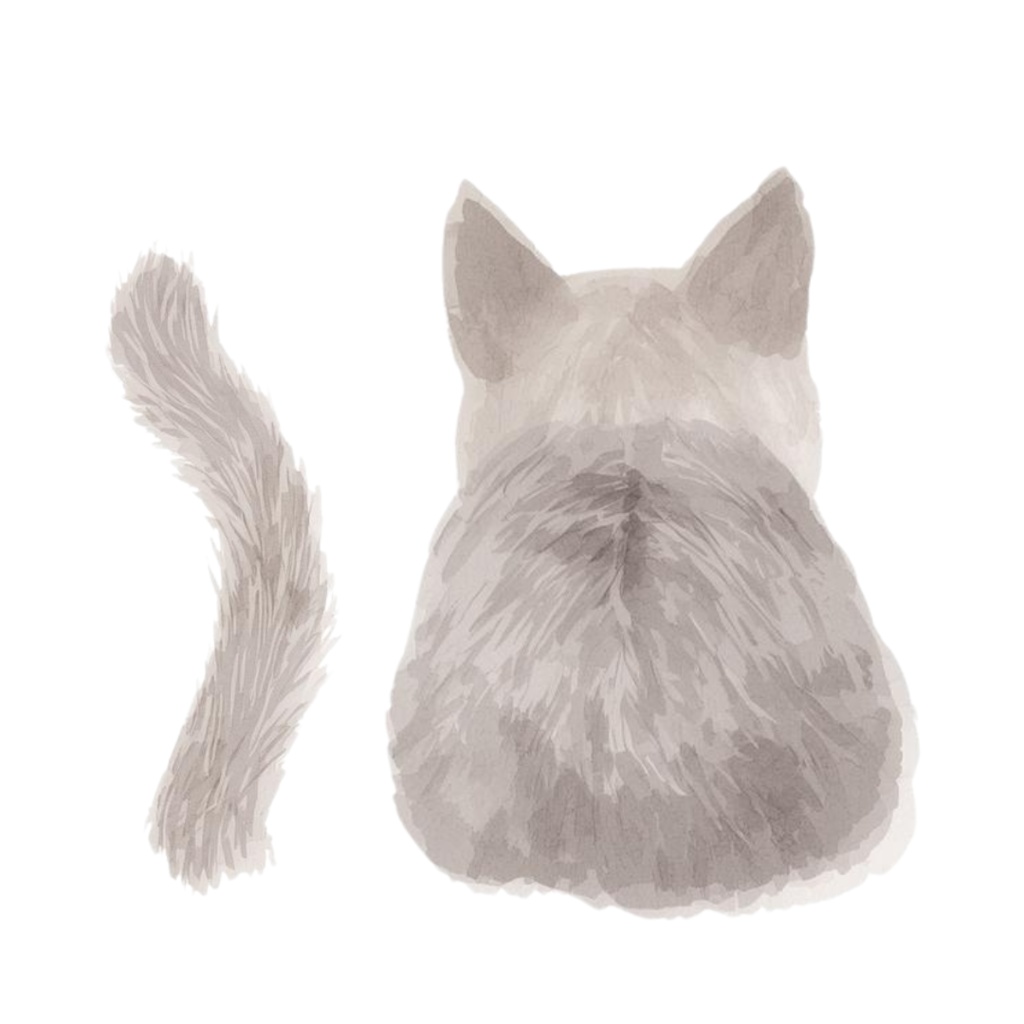 水彩手書き風イラスト集 ゆるふわ猫 vol.3|全15種 背景透過PNG素材