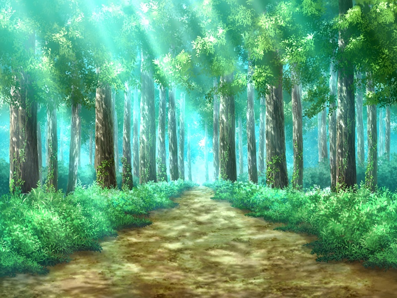 森背景素材集55