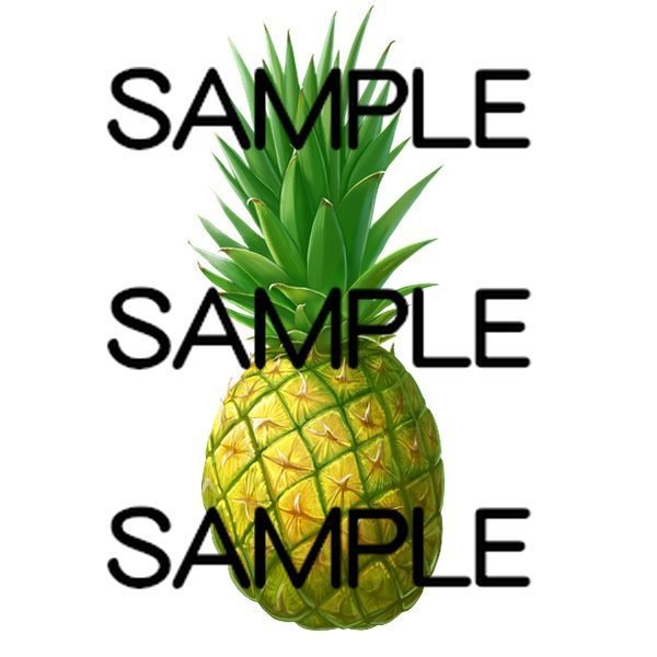 コスパ最高アイテム素材集 果物20