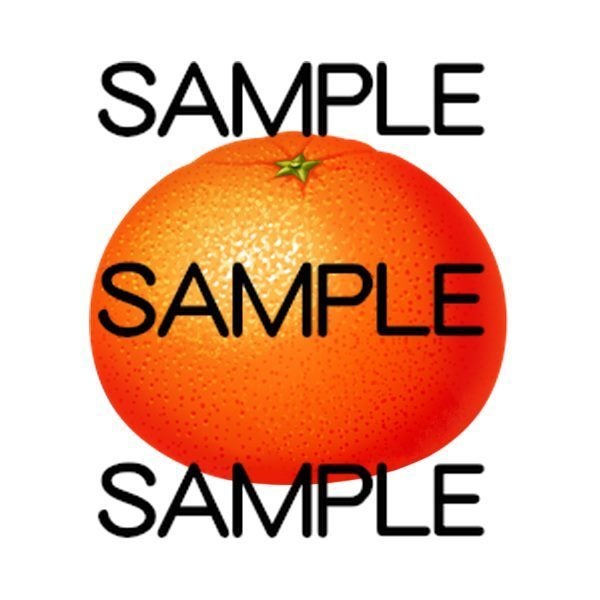 コスパ最高アイテム素材集 果物20