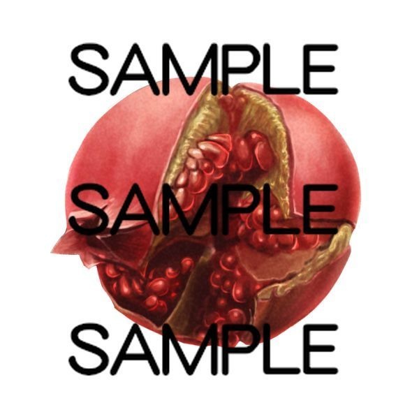 コスパ最高アイテム素材集 果物20